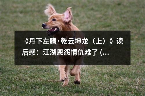 《丹下左膳·乾云坤龍（上）》讀后感：江湖恩怨情仇難了 (1000字)