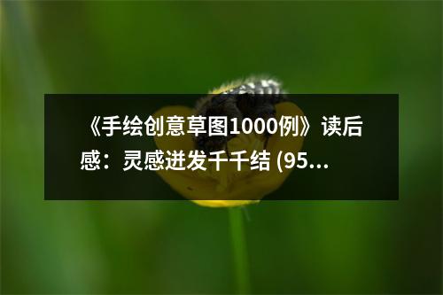 《手繪創(chuàng)意草圖1000例》讀后感：靈感迸發(fā)千千結(jié) (950字)