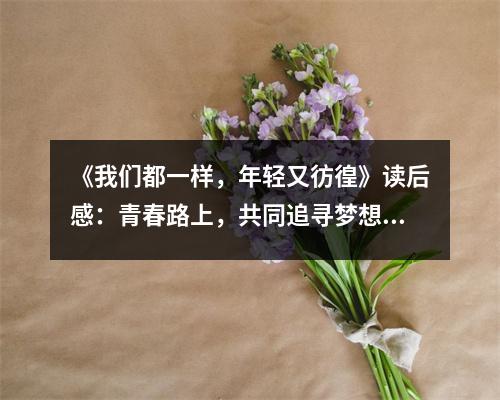 《我們都一樣，年輕又彷徨》讀后感：青春路上，共同追尋夢(mèng)想的足跡 (1050字)