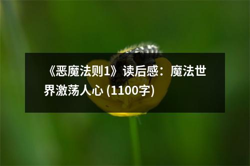 《惡魔法則1》讀后感：魔法世界激蕩人心 (1100字)