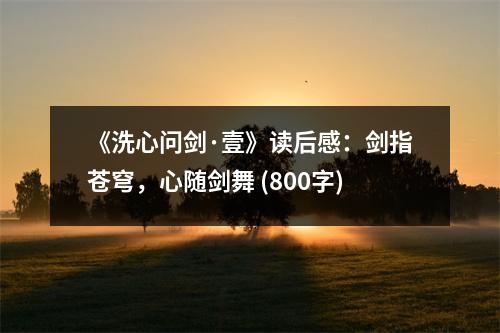 《洗心問劍·壹》讀后感：劍指蒼穹，心隨劍舞 (800字)