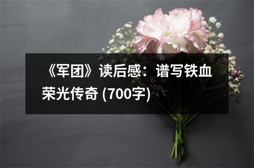 《軍團》讀后感：譜寫鐵血榮光傳奇 (700字)
