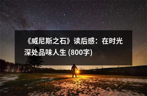 《威尼斯之石》讀后感：在時(shí)光深處品味人生 (800字)