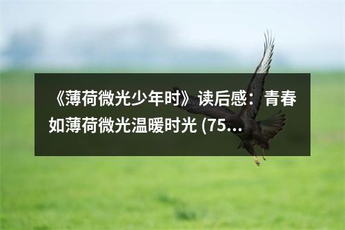 《薄荷微光少年時》讀后感：青春如薄荷微光溫暖時光 (750字)
