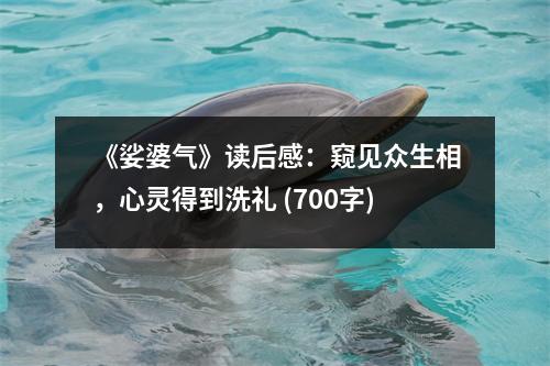 《娑婆氣》讀后感：窺見眾生相，心靈得到洗禮 (700字)
