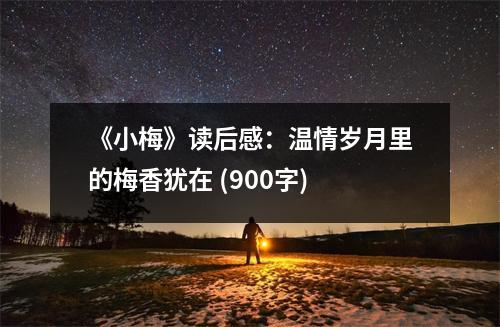 《小梅》讀后感：溫情歲月里的梅香猶在 (900字)