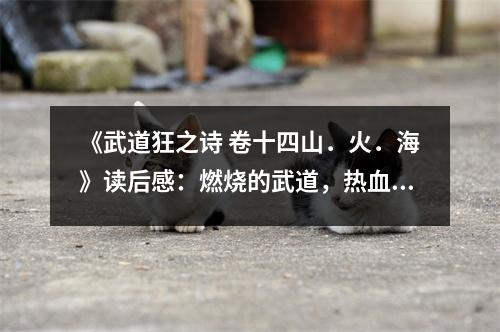 《武道狂之詩 卷十四山．火．海》讀后感：燃燒的武道，熱血沸騰的時刻 (800字)