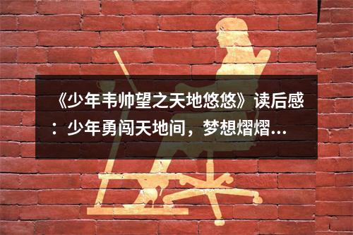 《少年韋帥望之天地悠悠》讀后感：少年勇闖天地間，夢(mèng)想熠熠生輝 (800字)