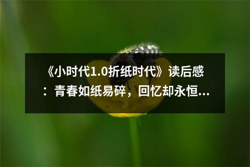 《小時代1.0折紙時代》讀后感：青春如紙易碎，回憶卻永恒 (750字)
