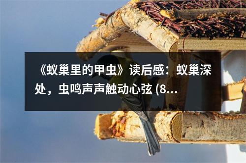 《蟻巢里的甲蟲》讀后感：蟻巢深處，蟲鳴聲聲觸動(dòng)心弦 (800字)