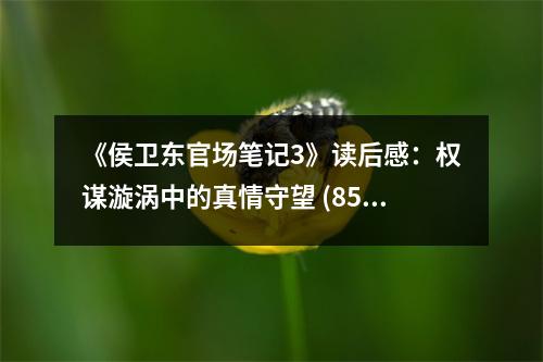 《侯衛(wèi)東官場筆記3》讀后感：權(quán)謀漩渦中的真情守望 (850字)
