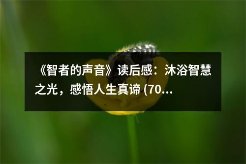 《智者的聲音》讀后感：沐浴智慧之光，感悟人生真諦 (700字)