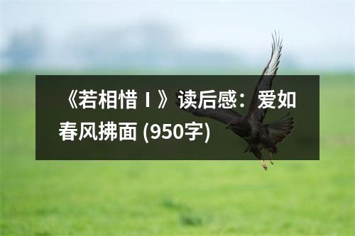 《若相惜Ⅰ》讀后感：愛如春風(fēng)拂面 (950字)
