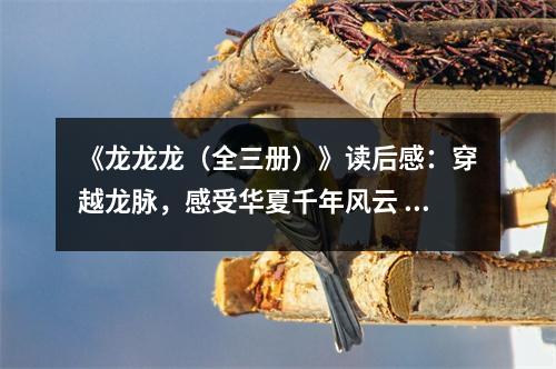 《龍龍龍（全三冊(cè)）》讀后感：穿越龍脈，感受華夏千年風(fēng)云 (800字)