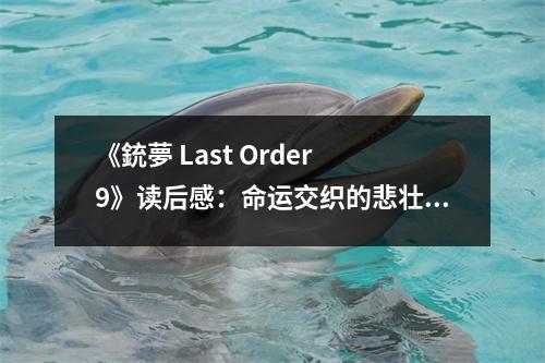 《銃夢 Last Order 9》讀后感：命運交織的悲壯史詩 (750字)