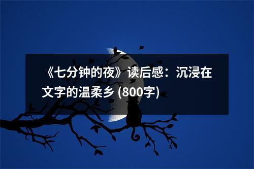 《七分鐘的夜》讀后感：沉浸在文字的溫柔鄉(xiāng) (800字)