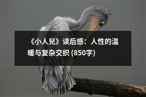 《小人兒》讀后感：人性的溫暖與復(fù)雜交織 (850字)