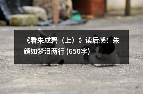 《看朱成碧（上）》讀后感：朱顏如夢淚兩行 (650字)
