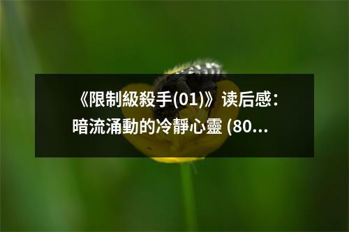 《限制級殺手(01)》讀后感：暗流涌動的冷靜心靈 (800字)