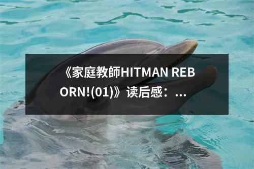 《家庭教師HITMAN REBORN!(01)》讀后感：熱血青春，夢(mèng)想閃耀 (850字)