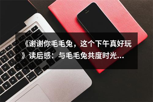 《謝謝你毛毛兔，這個下午真好玩》讀后感：與毛毛兔共度時光，快樂滿溢心間 (800字)