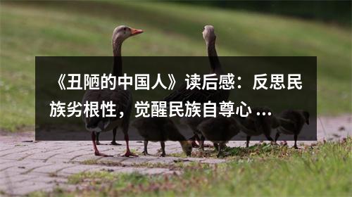 《丑陋的中國人》讀后感：反思民族劣根性，覺醒民族自尊心 (750字)
