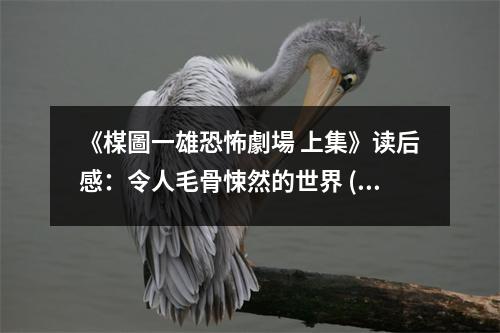 《楳圖一雄恐怖劇場(chǎng) 上集》讀后感：令人毛骨悚然的世界 (850字)