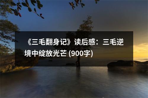 《三毛翻身記》讀后感：三毛逆境中綻放光芒 (900字)