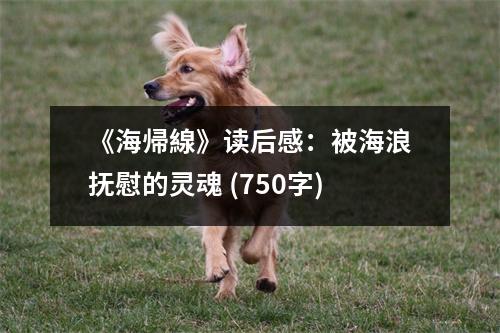 《海帰線》讀后感：被海浪撫慰的靈魂 (750字)