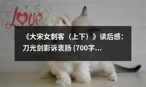 《大宋女刺客（上下）》讀后感：刀光劍影訴衷腸 (700字)