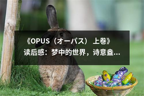 《OPUS（オーパス） 上巻》讀后感：夢中的世界，詩意盎然 (750字)