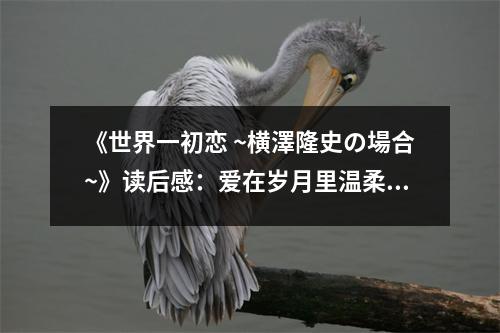 《世界一初戀 ~橫澤隆史の場(chǎng)合~》讀后感：愛在歲月里溫柔綻放 (750字)
