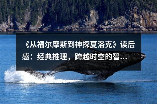 《從福爾摩斯到神探夏洛克》讀后感：經(jīng)典推理，跨越時空的智慧碰撞 (1000字)