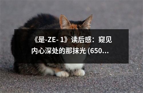 《是-ZE- 1》讀后感：窺見內(nèi)心深處的那抹光 (650字)