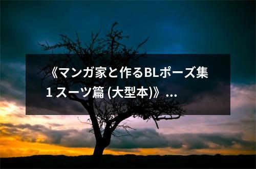 《マンガ家と作るBLポーズ集 1 スーツ篇 (大型本)》讀后感：充滿愛意的甜蜜瞬間 (750字)