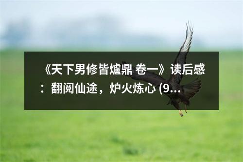 《天下男修皆爐鼎 卷一》讀后感：翻閱仙途，爐火煉心 (900字)