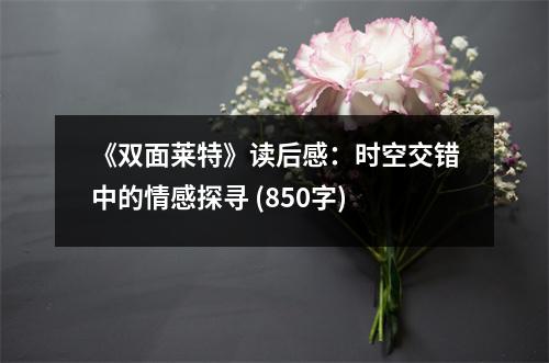 《雙面萊特》讀后感：時空交錯中的情感探尋 (850字)