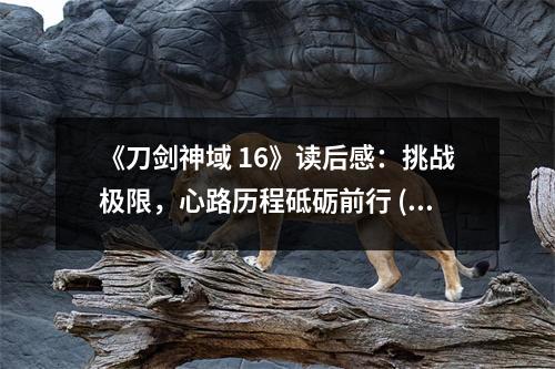 《刀劍神域 16》讀后感：挑戰(zhàn)極限，心路歷程砥礪前行 (650字)