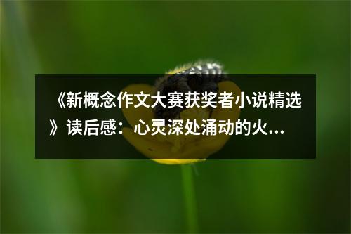 《新概念作文大賽獲獎者小說精選》讀后感：心靈深處涌動的火花 (800字)