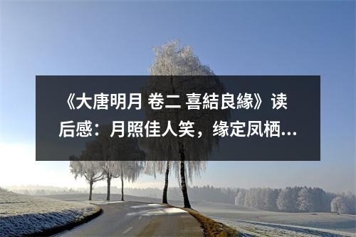 《大唐明月 卷二 喜結(jié)良緣》讀后感：月照佳人笑，緣定鳳棲梧 (700字)
