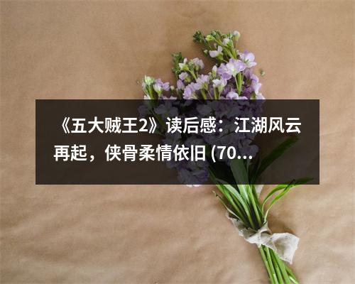 《五大賊王2》讀后感：江湖風(fēng)云再起，俠骨柔情依舊 (700字)