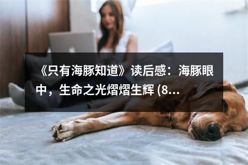 《只有海豚知道》讀后感：海豚眼中，生命之光熠熠生輝 (800字)