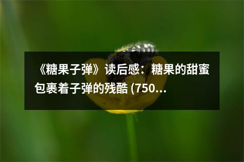 《糖果子彈》讀后感：糖果的甜蜜包裹著子彈的殘酷 (750字)