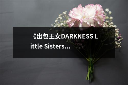 《出包王女DARKNESS Little Sisters》讀后感：姐妹情深，共度風(fēng)雨 (700字)