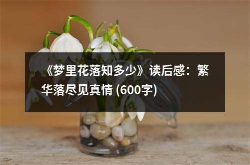 《夢(mèng)里花落知多少》讀后感：繁華落盡見真情 (600字)
