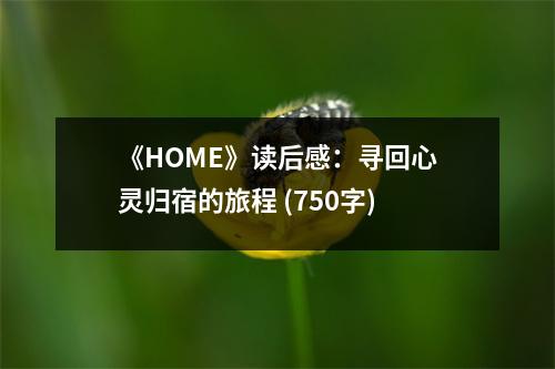 《HOME》讀后感：尋回心靈歸宿的旅程 (750字)