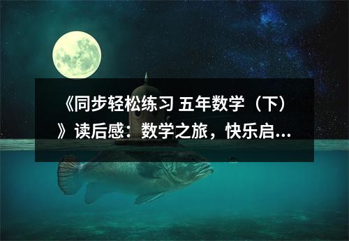 《同步輕松練習(xí) 五年數(shù)學(xué)（下）》讀后感：數(shù)學(xué)之旅，快樂啟航 (800字)