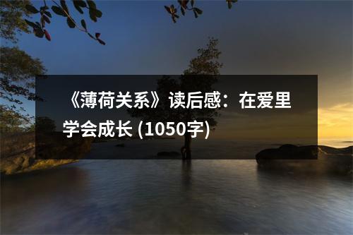 《薄荷關(guān)系》讀后感：在愛里學(xué)會(huì)成長 (1050字)