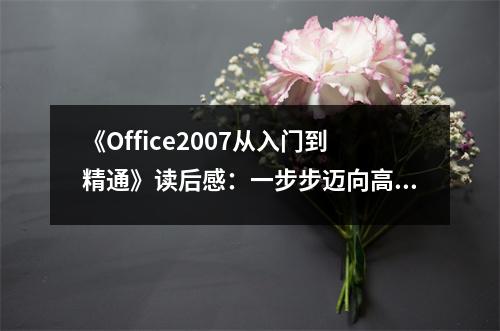 《Office2007從入門(mén)到精通》讀后感：一步步邁向高效辦公的喜悅之旅 (750字)