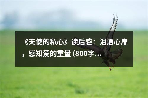 《天使的私心》讀后感：淚灑心扉，感知愛的重量 (800字)